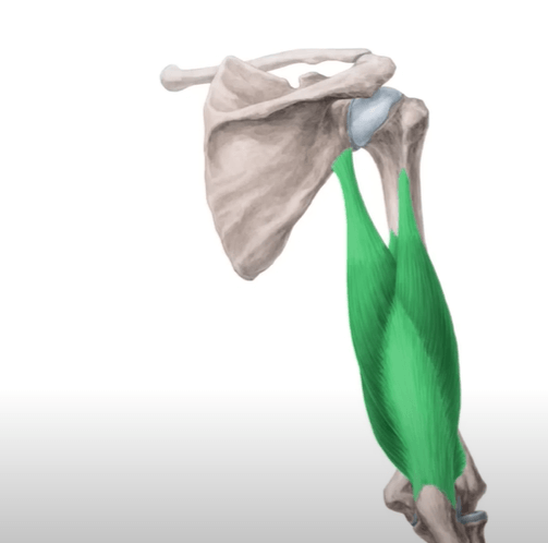 Ekran görüntüsü 2025-07-18 225004.png