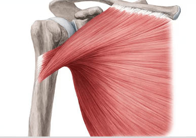 Ekran görüntüsü 2025-07-18 225004.png