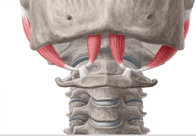 Ekran görüntüsü 2025-07-18 225004.png