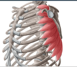 Ekran görüntüsü 2025-07-18 225004.png