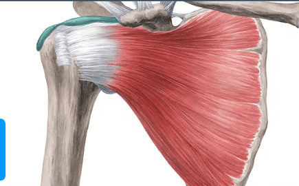 Ekran görüntüsü 2025-07-18 225004.png