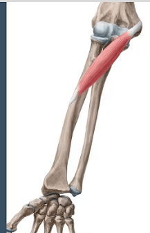 Ekran görüntüsü 2025-07-18 225004.png