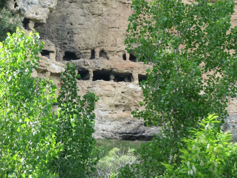 20190920170938650_pepuza (1).jpg