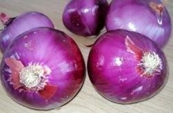 Alaca Mor Soğanı / Alaca Moru