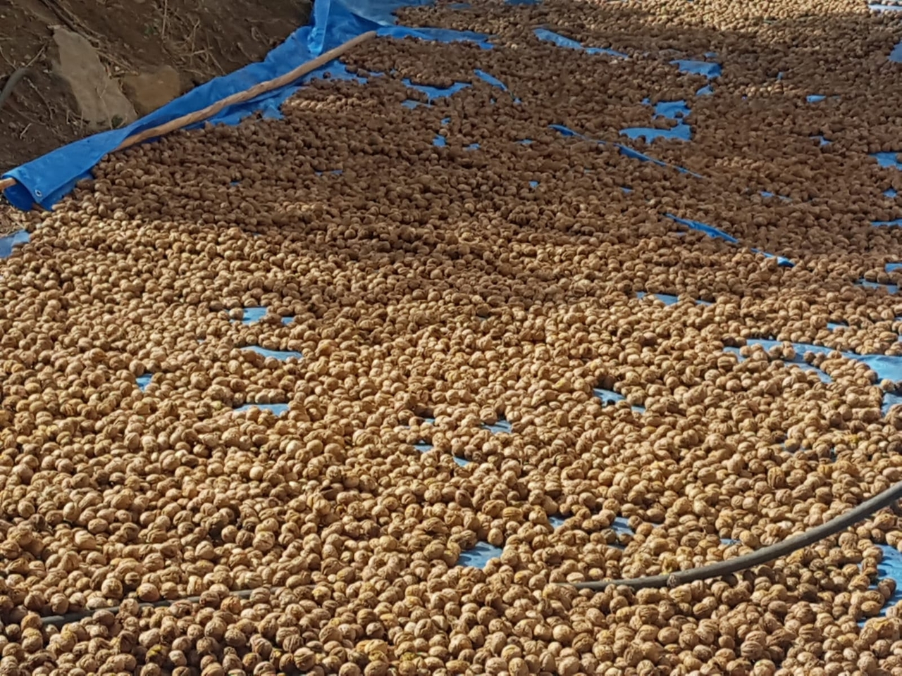 68dd34f9-7d08-4ea2-91bb-6db374771d7f (1).jpeg