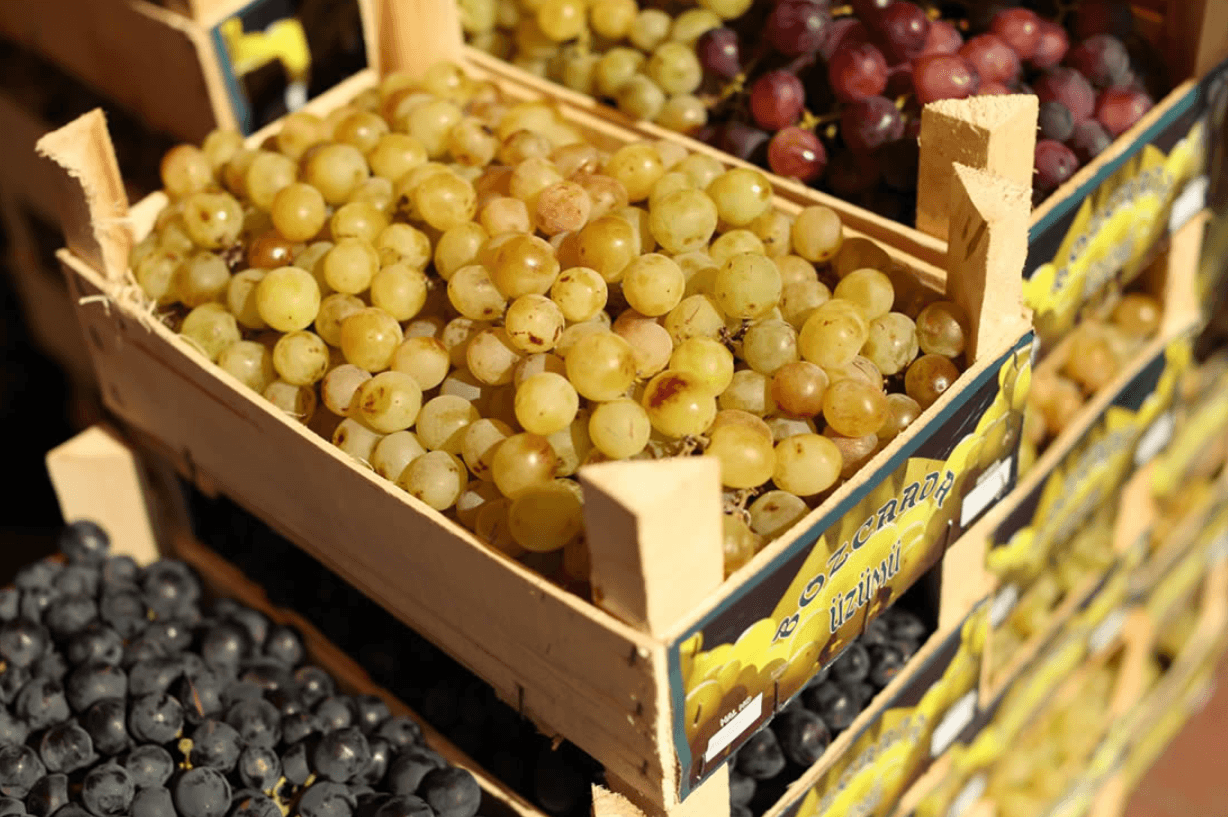 Ekran görüntüsü 2025-07-20 133359.png