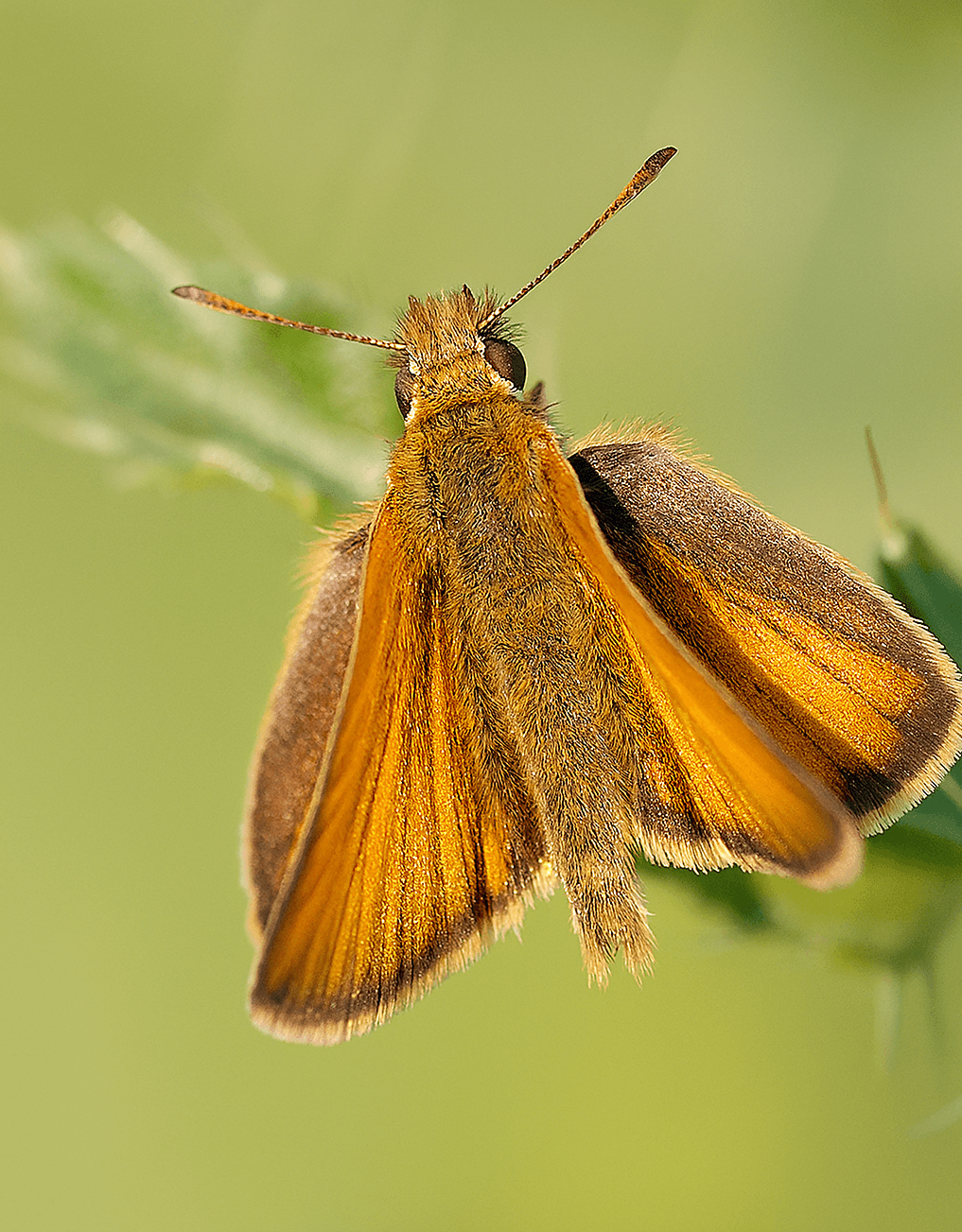 ChatGPT Image 20 Tem 2025 08_31_51.png