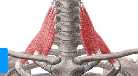 Ekran görüntüsü 2025-07-23 003012.png