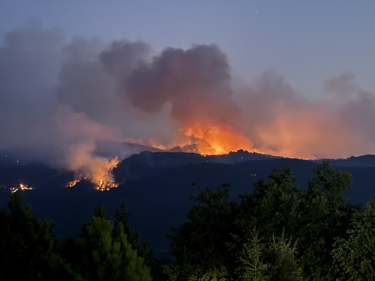 Eskişehir Seyitgazi Orman Yangını (2025) image