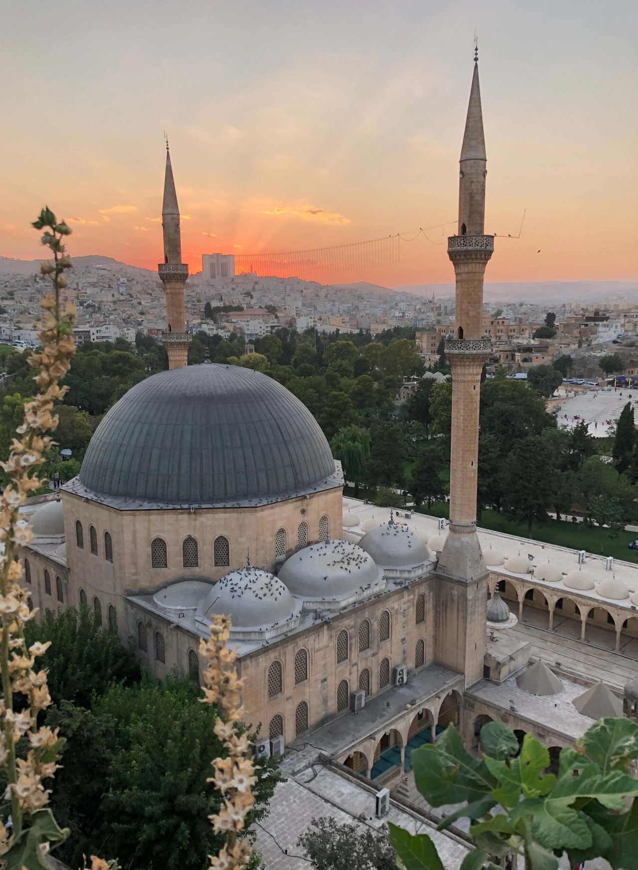 Şanlıurfa Mevlid-i Halil Camii 