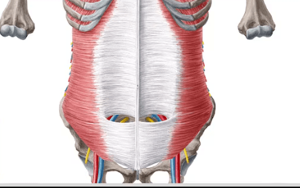 Ekran görüntüsü 2025-07-29 010811.png