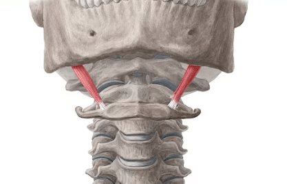Ekran görüntüsü 2025-07-29 010811.png