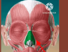 Ekran görüntüsü 2025-07-29 194811.png