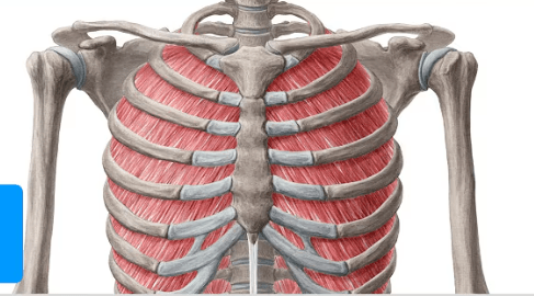 Ekran görüntüsü 2025-07-29 194811.png