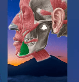 Ekran görüntüsü 2025-07-29 194811.png