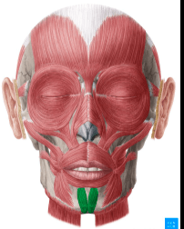 Ekran görüntüsü 2025-07-29 194811.png