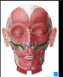 Ekran görüntüsü 2025-07-29 152842.png