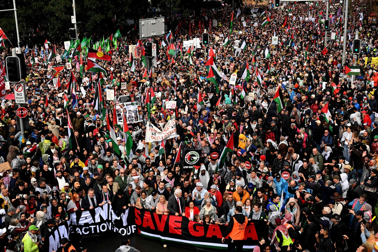 Sydney Harbour Bridge Palestine Solidarity March (2025) image