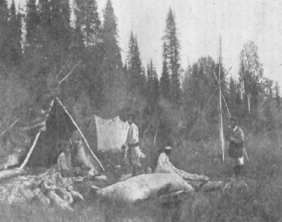 Ekran görüntüsü 2025-08-05 170903.png