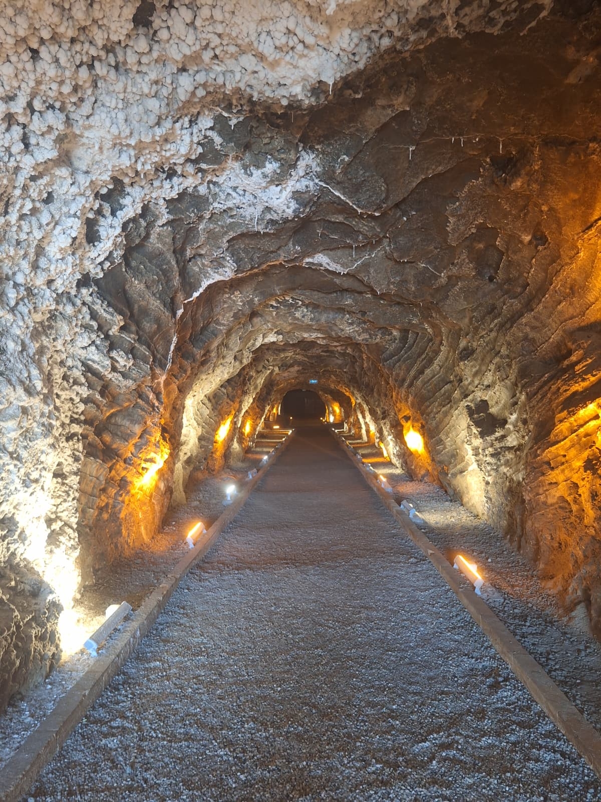 WhatsApp Görsel 2025-08-06 saat 20.39.29_2ec46238.jpg