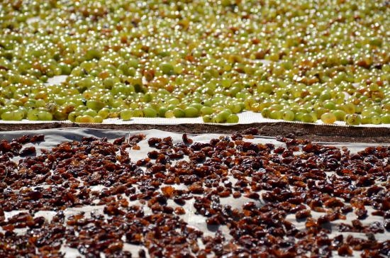 Adıyaman Besni Üzümü