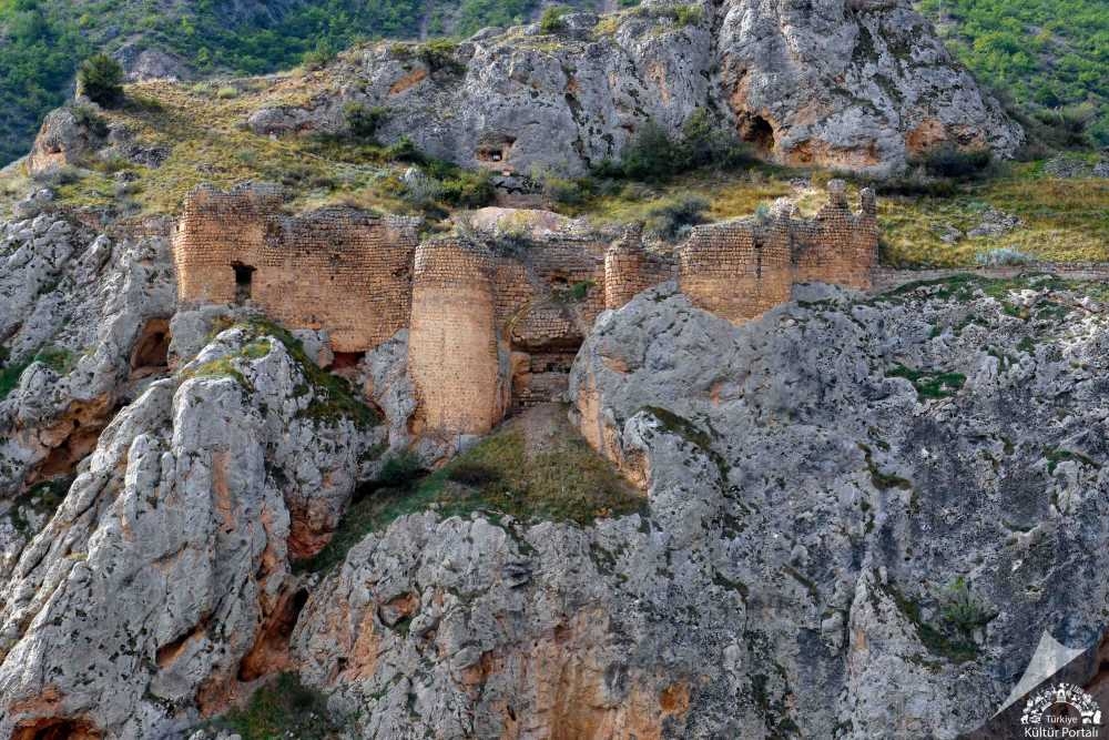Ardanuç Kalesi.jpg