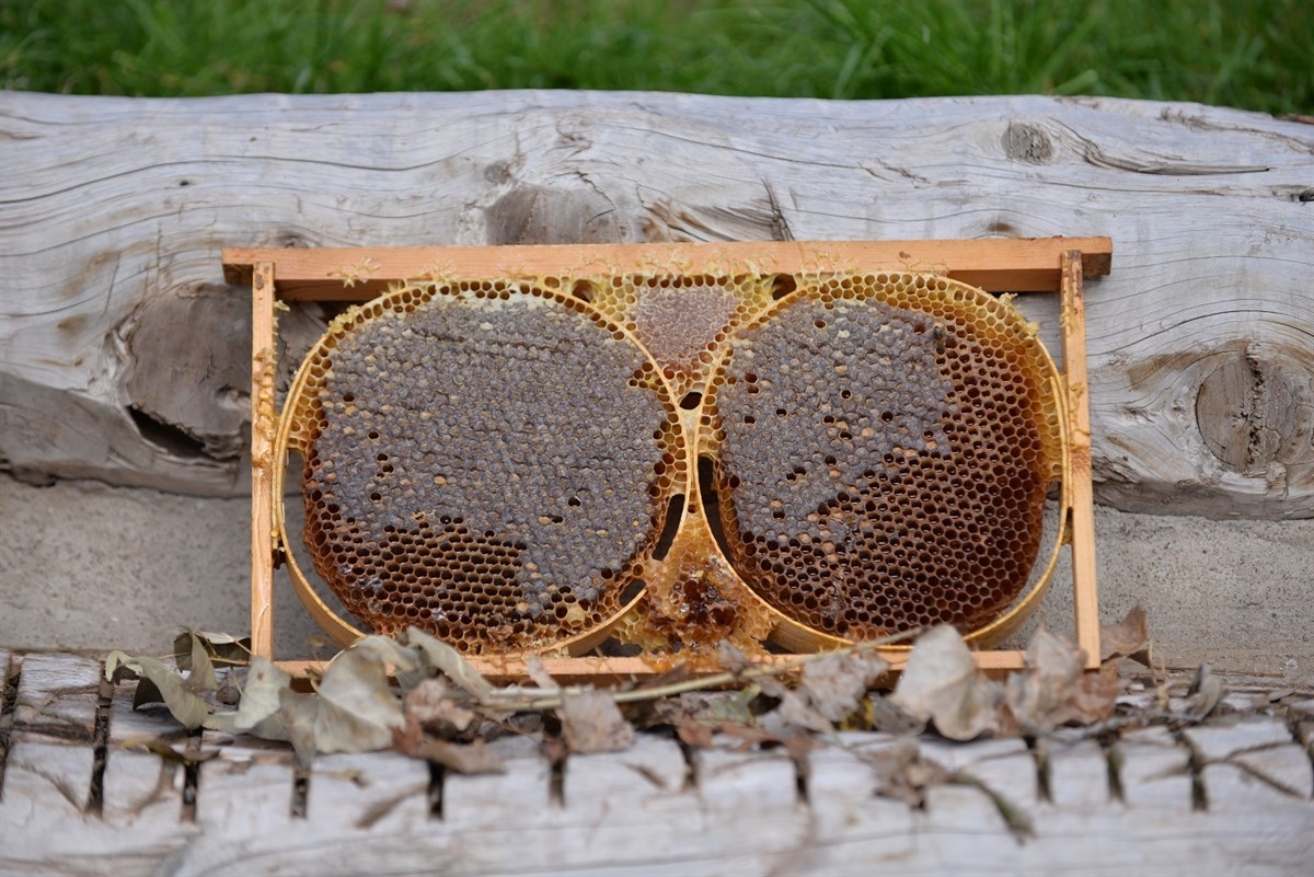 Özvatan Çiçek Balı