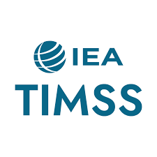 tımms1.png