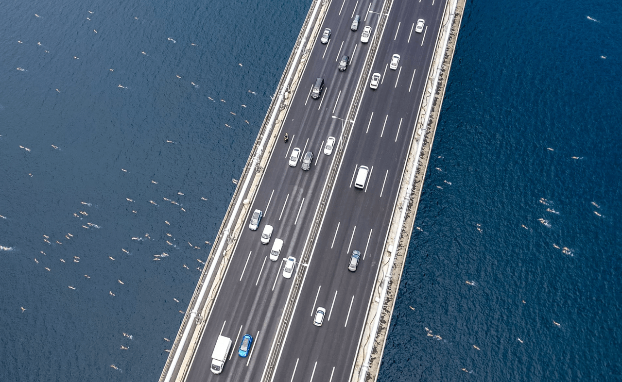 37. Boğaziçi Kıtalararası Yüzme Yarışı image