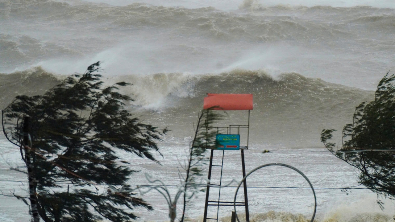 Kajiki Tayfunu (2025) image