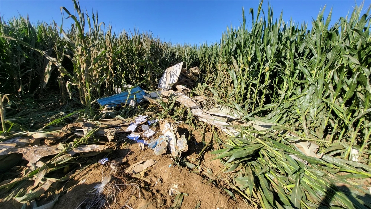 İzmir'de Eğitim Uçağı Kazası image