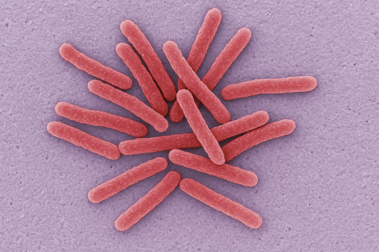 ChatGPT Image 11 Eyl 2025 14_36_47.png