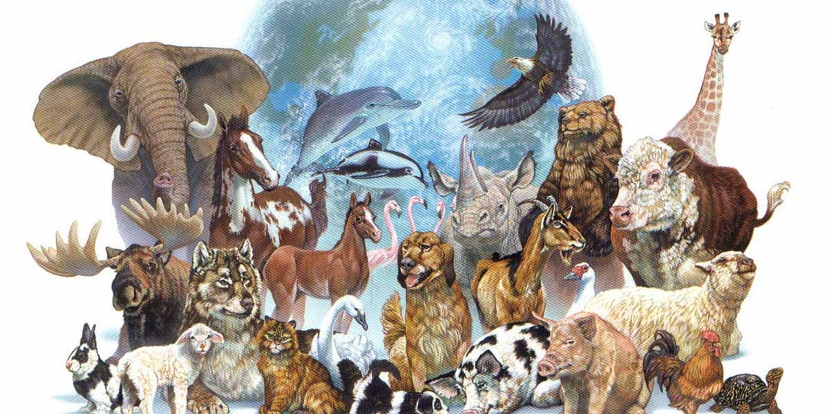 Dünya Hayvanları Koruma Günü