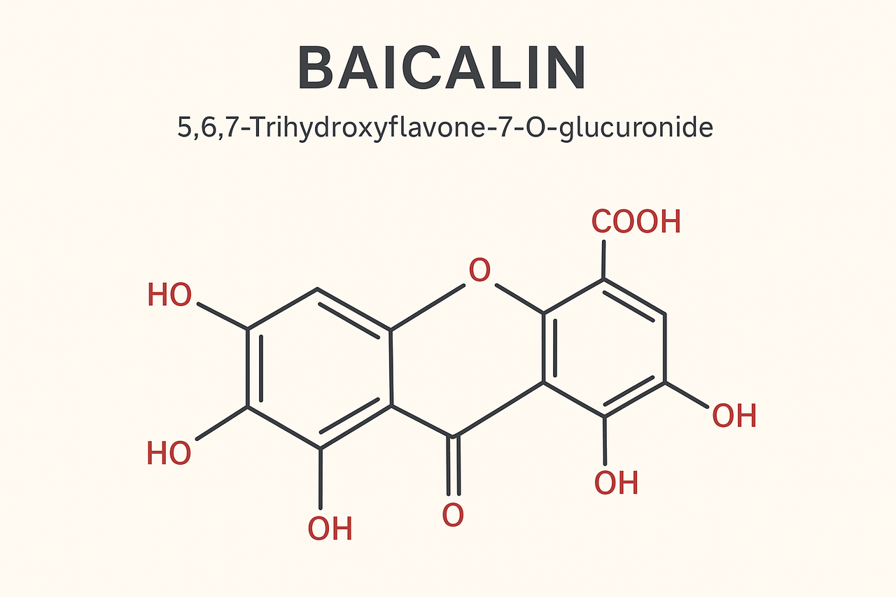 ChatGPT Image 19 Eki 2025 01_08_18.png