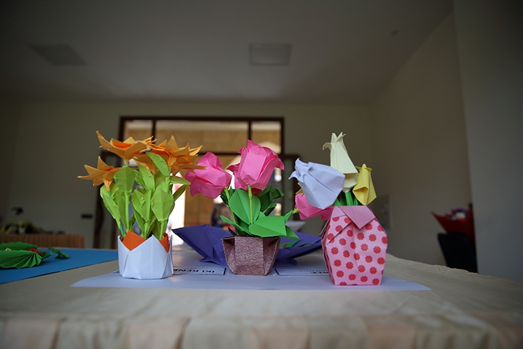 origami aa4.jpg