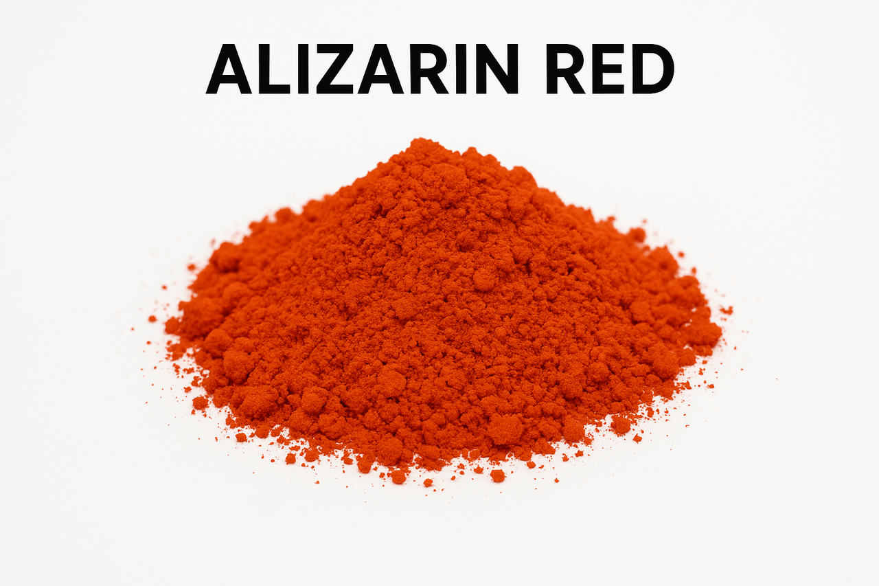 ChatGPT Image 19 Eki 2025 00_51_45.png