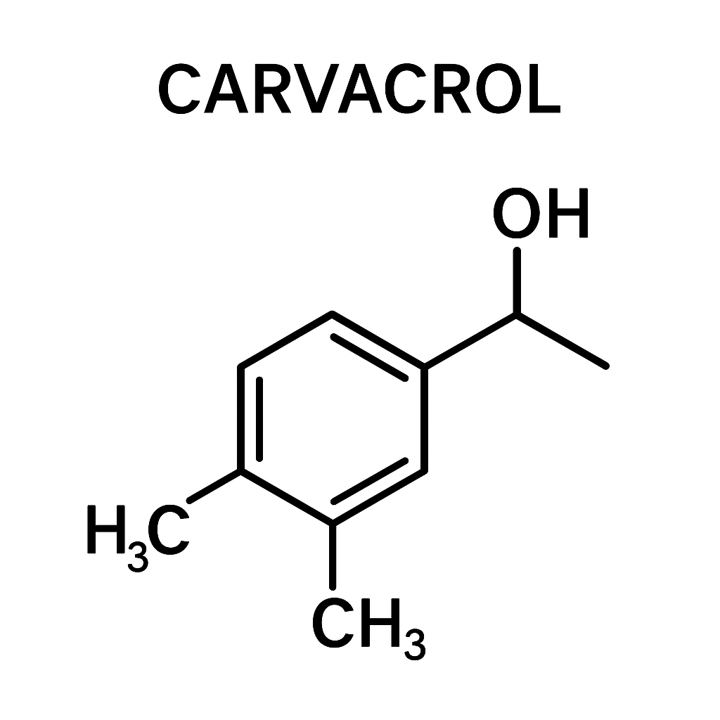 ChatGPT Image 19 Eki 2025 00_40_02.png