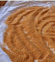 Fethiye Tarhanası.jpeg