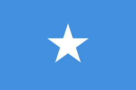 Somali Federal Cumhuriyeti