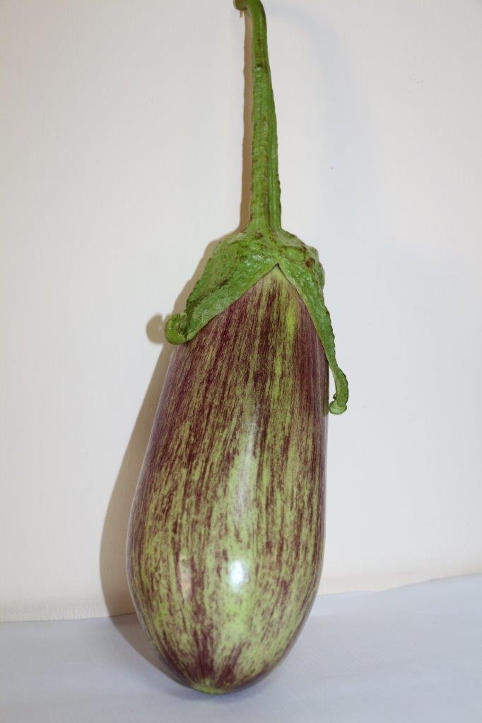 Nizip Patlıcanı.jpeg