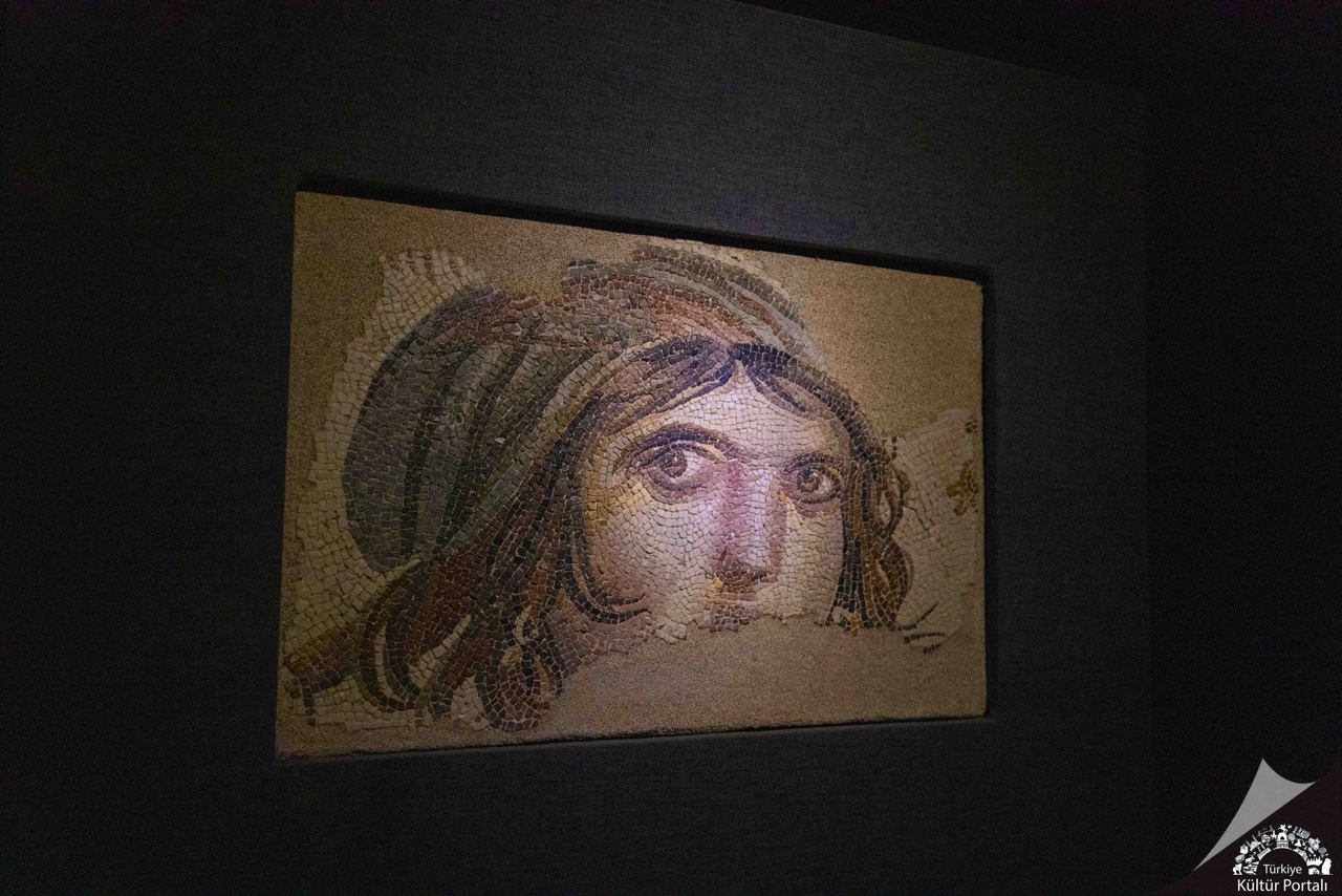 Gaziantep Zeugma Mozaik Müzesi (6).jpg