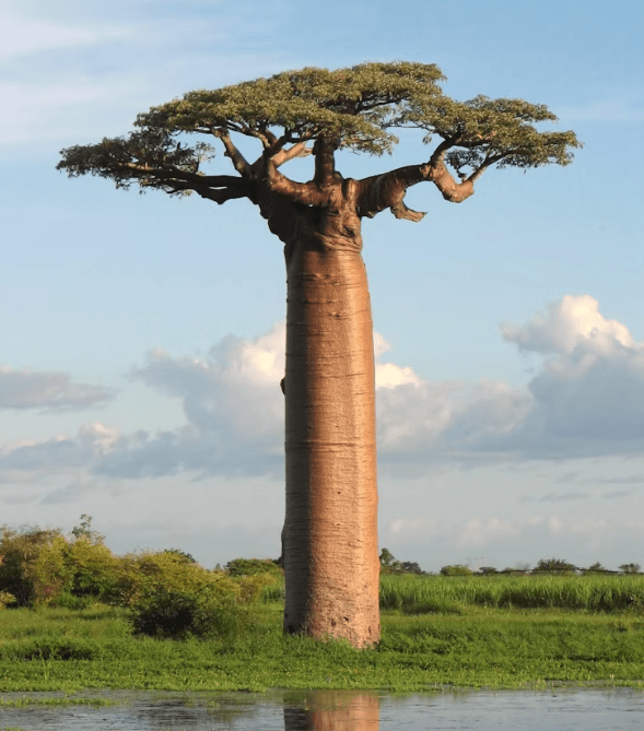 Ekran görüntüsü 2025-10-24 024401.png