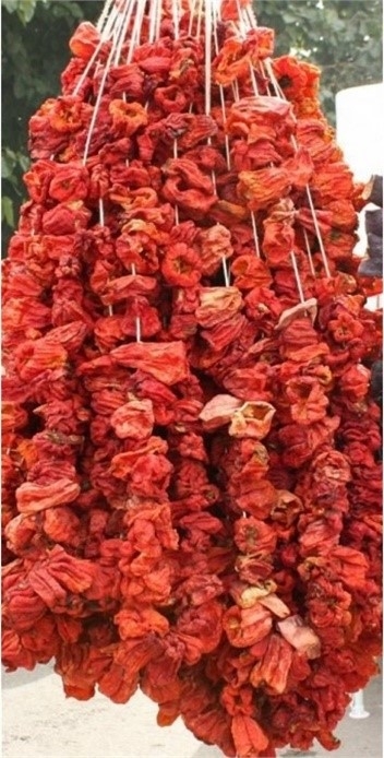 Antep Dolmalık Biber Kurusu / Gaziantep Dolmalık Biber Kurusu