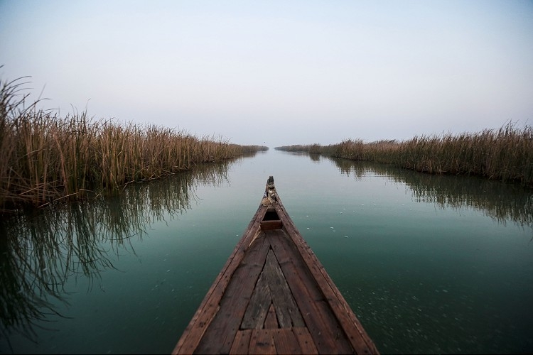 bataklık kapaka.jpg