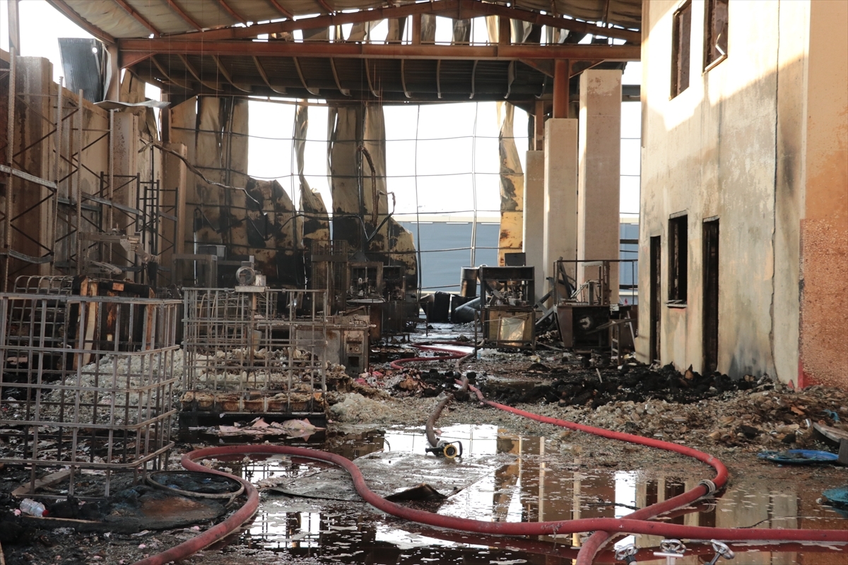 Kocaeli Dilovası Cosmetic Factory Fire (2025) image