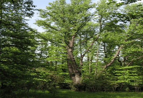 Ekran görüntüsü 2025-11-10 202221.png