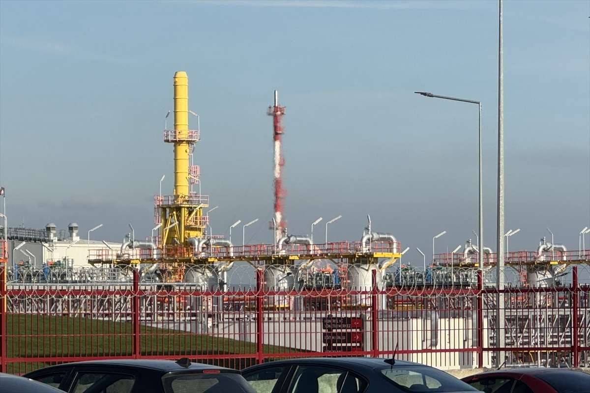 Silivri BOTAŞ Doğal Gaz Tesisi Yangını (2025) image