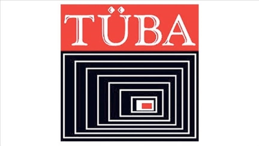 TÜBA Uluslararası Akademi Ödülleri