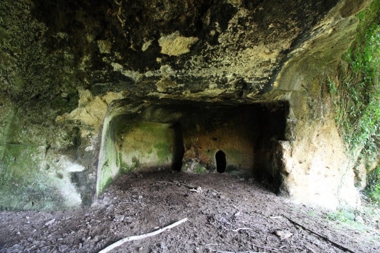 WhatsApp Image 2026-01-03 at 01.07.28.jpeg