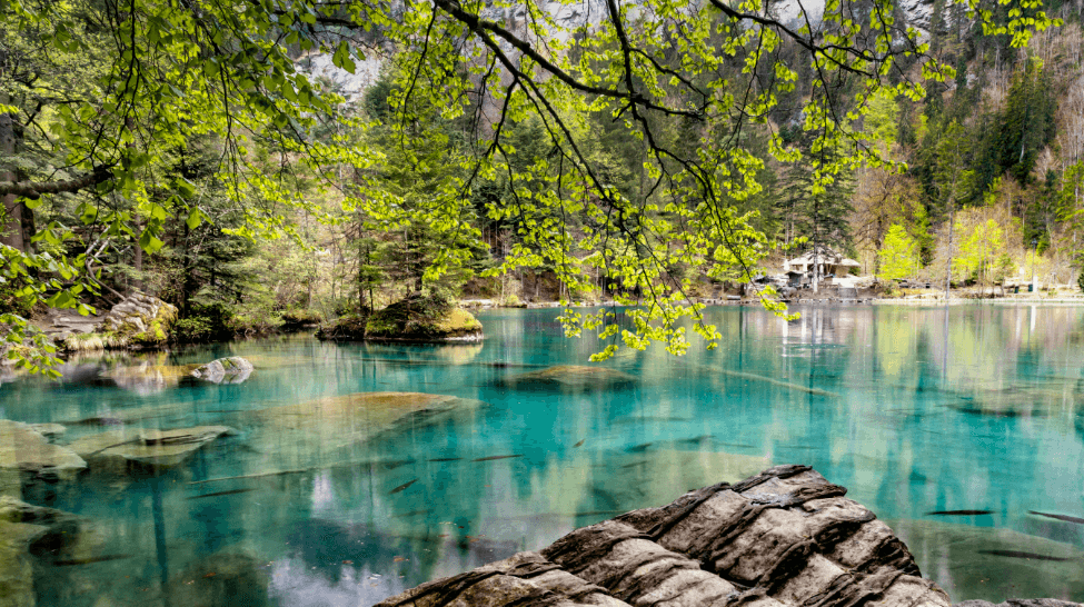 Ekran görüntüsü 2026-01-26 113310.png